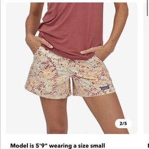 Patagonia Baggies 5” inseam shorts